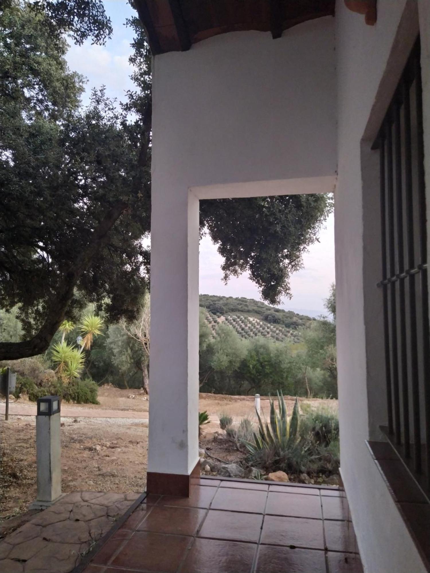 Casas Rurales Cortijo La Canada エステパ 部屋 写真