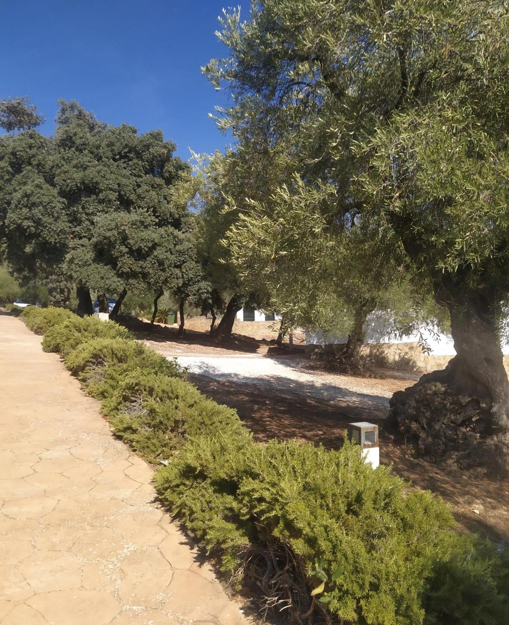 Casas Rurales Cortijo La Canada エステパ 部屋 写真