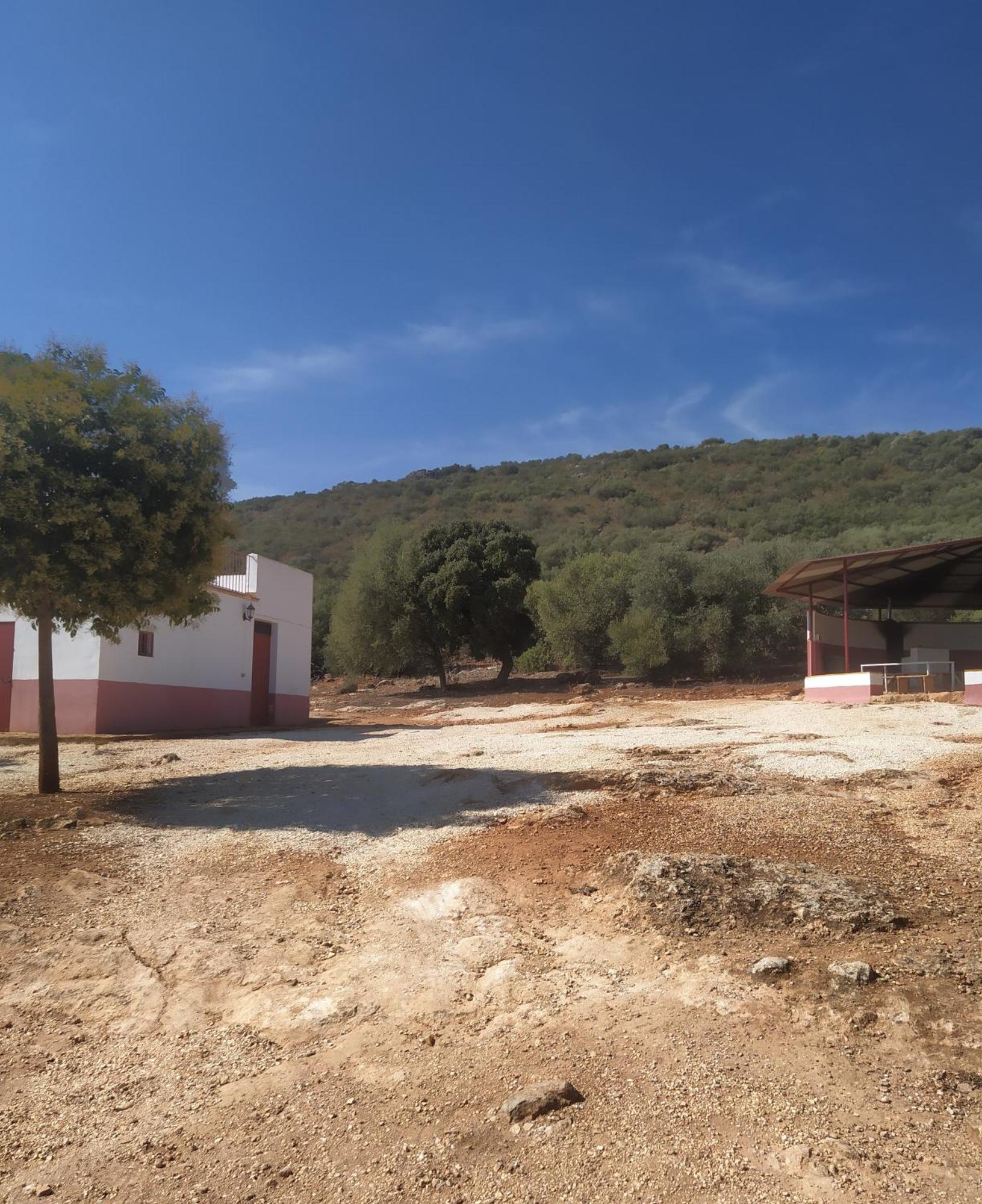 Casas Rurales Cortijo La Canada エステパ 部屋 写真
