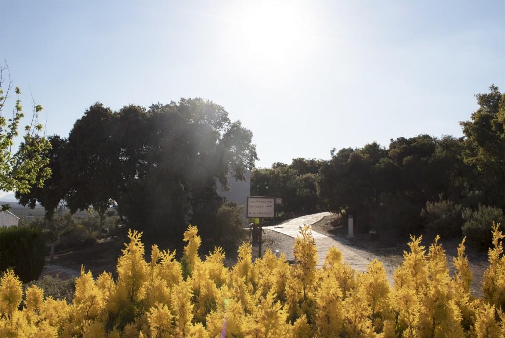 Casas Rurales Cortijo La Canada エステパ エクステリア 写真